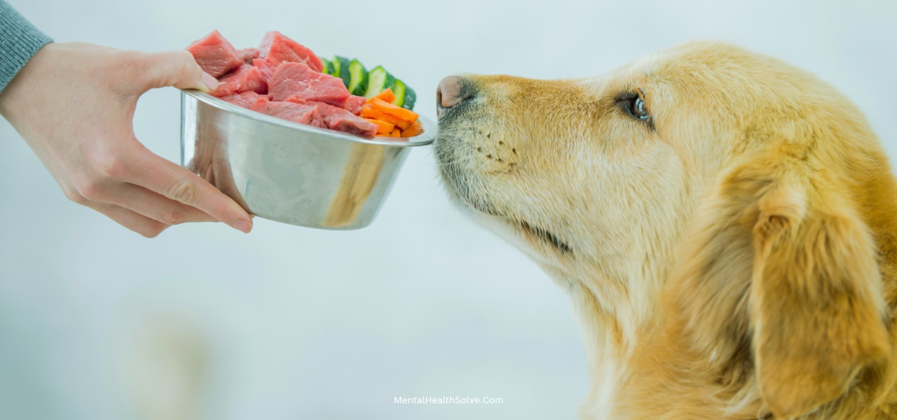 bland-diet-for-dogs