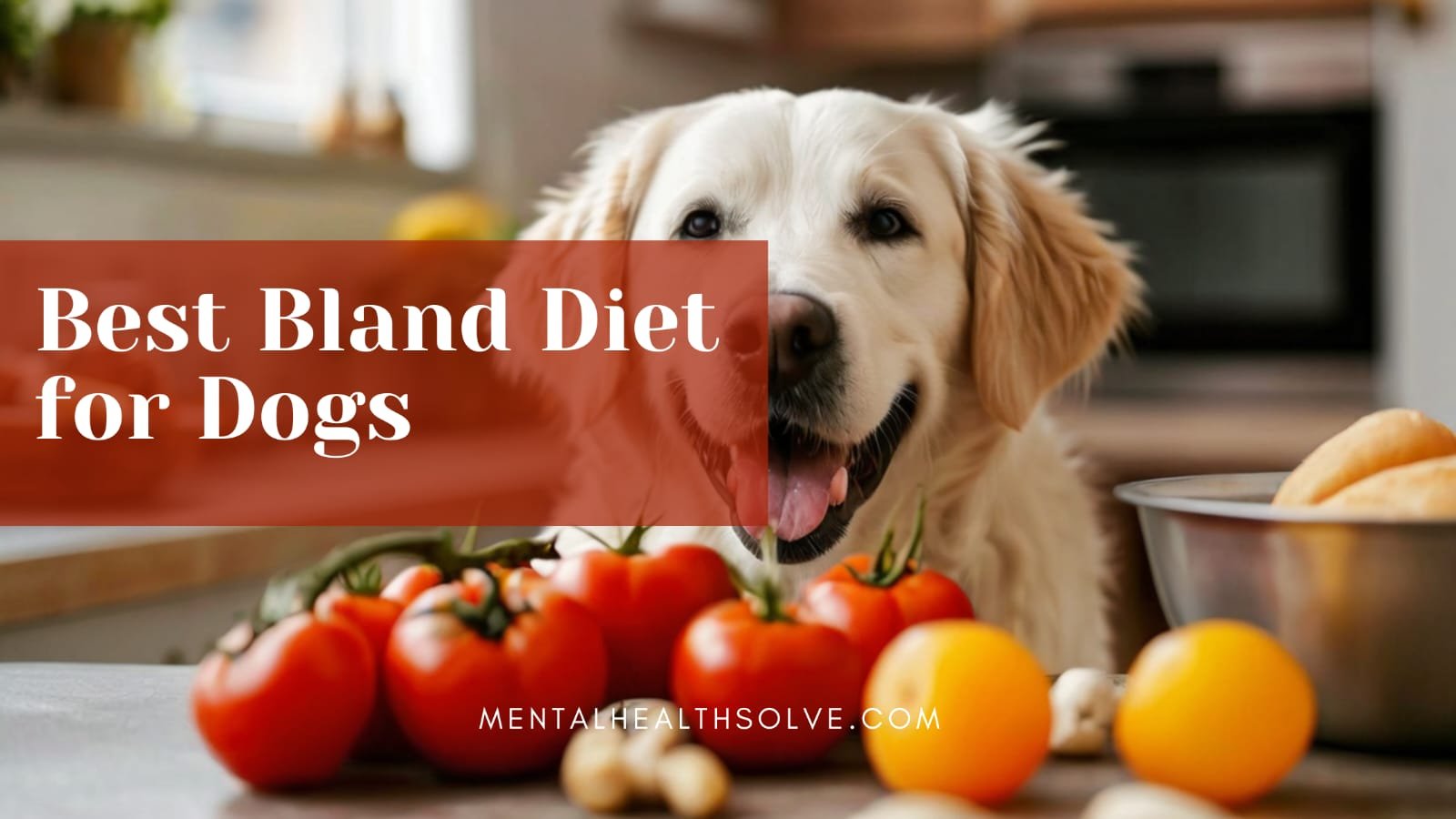 Bland Diet for Dogs