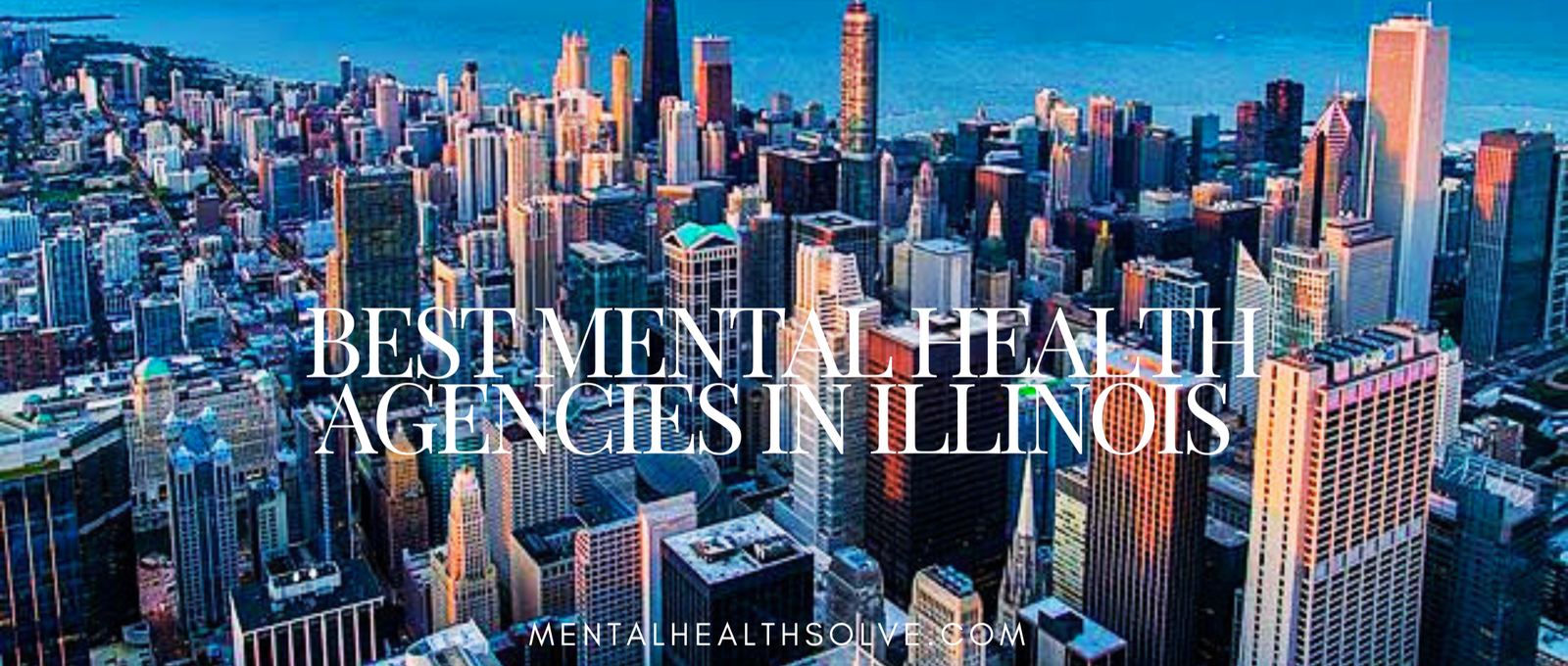 top-25-mental-health-agencies-in-illinois