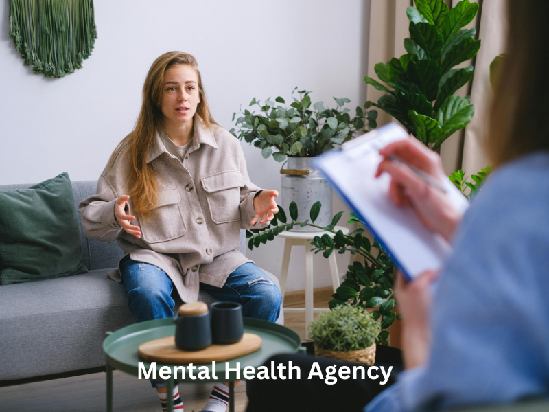 top-25-mental-health-agencies-in-illinois