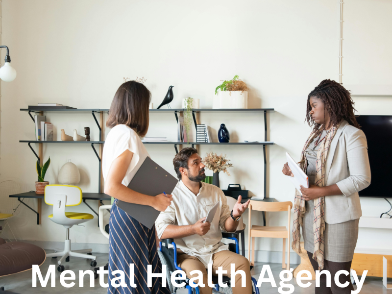 top-25-mental-health-agencies-in-illinois