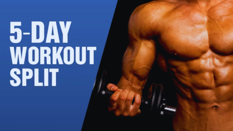 5-Day Workout Split