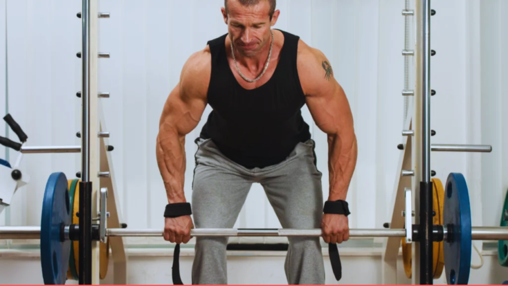 5-Day Workout Split