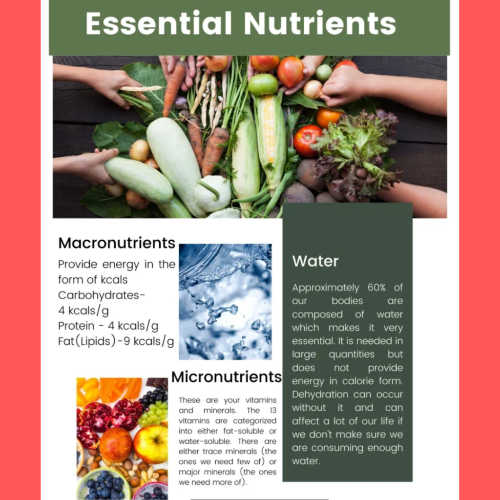 Nutrition Definition